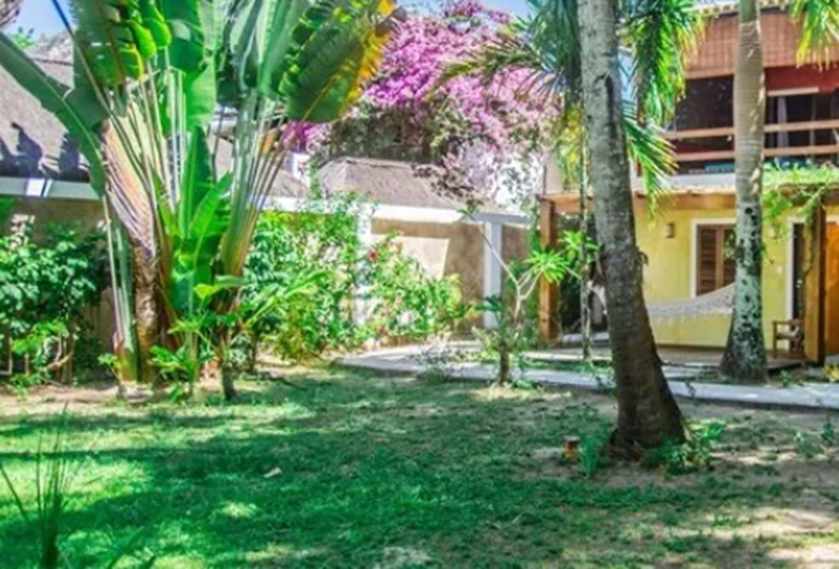 Un patio con un edificio de techo de paja, rodeado de abundante vegetación y una pequeña palmera.