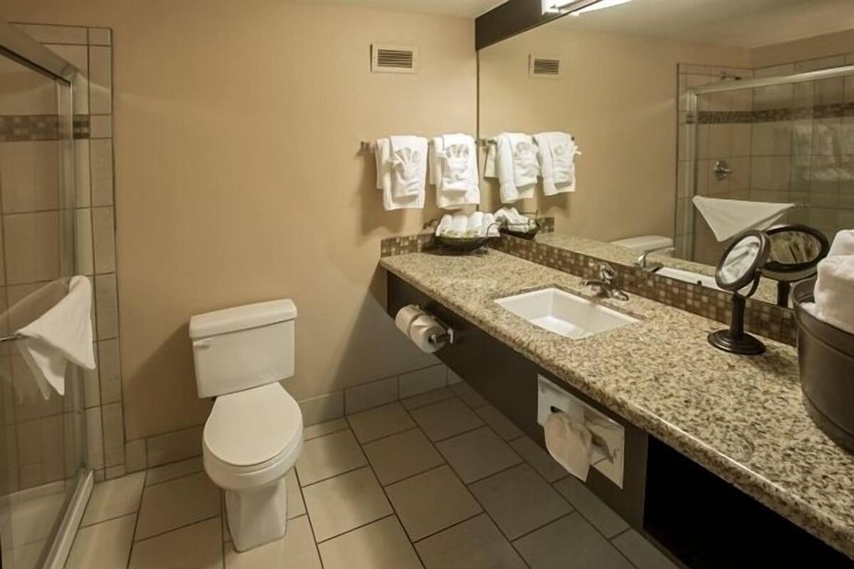 A bathroom with a toilet, two sinks, a mirror, and a shower area.