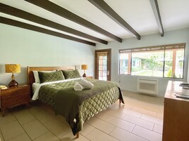 Studio, 1 King Bed, Non Smoking | Terrace/patio