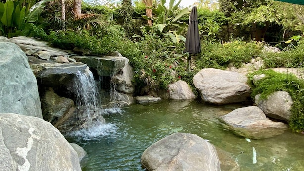 A garden with a small waterfall, large rocks, and lush greenery.