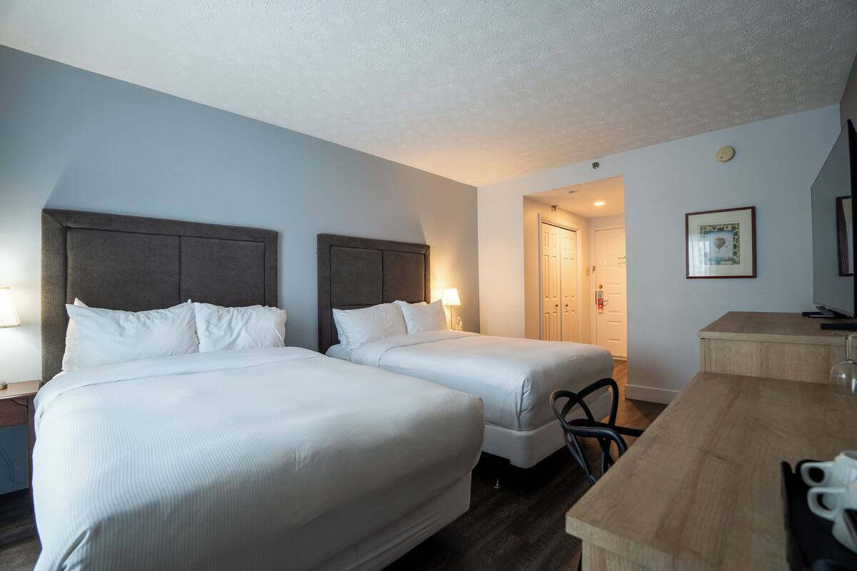 Standard Room, 2 Double Beds, Non Smoking, Patio (1st Floor) | Premium bedding, pillowtop beds, in-room safe, desk