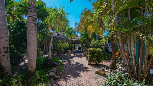 A pathway lined with palm trees and a brick walkway leading to a building with a thatched roof. - Bonita Beach Inn and Suites (Bonita Springs)