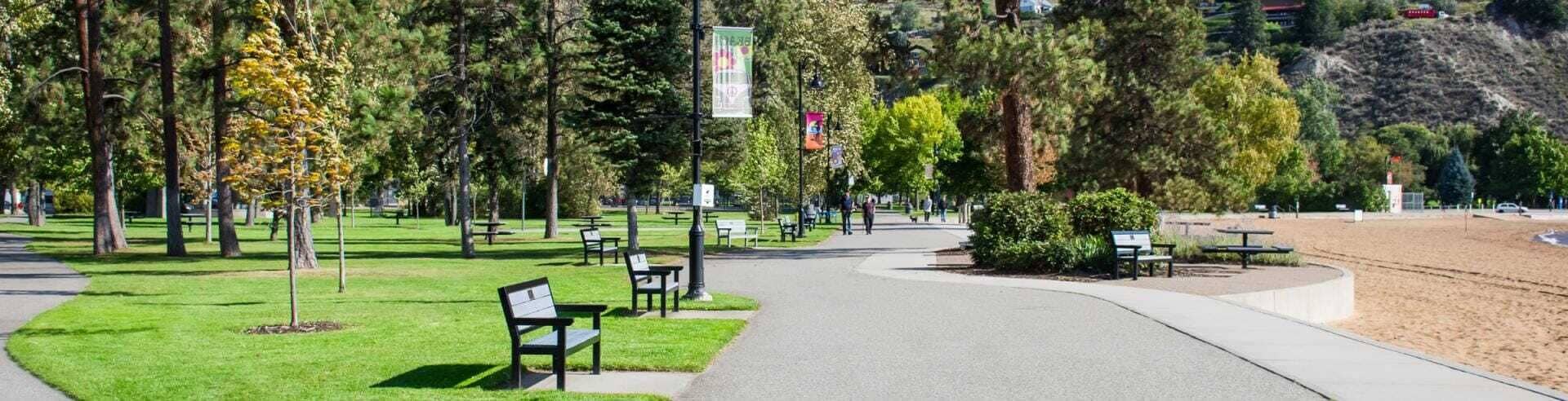 Un parque con bancos, un camino pavimentado y árboles.