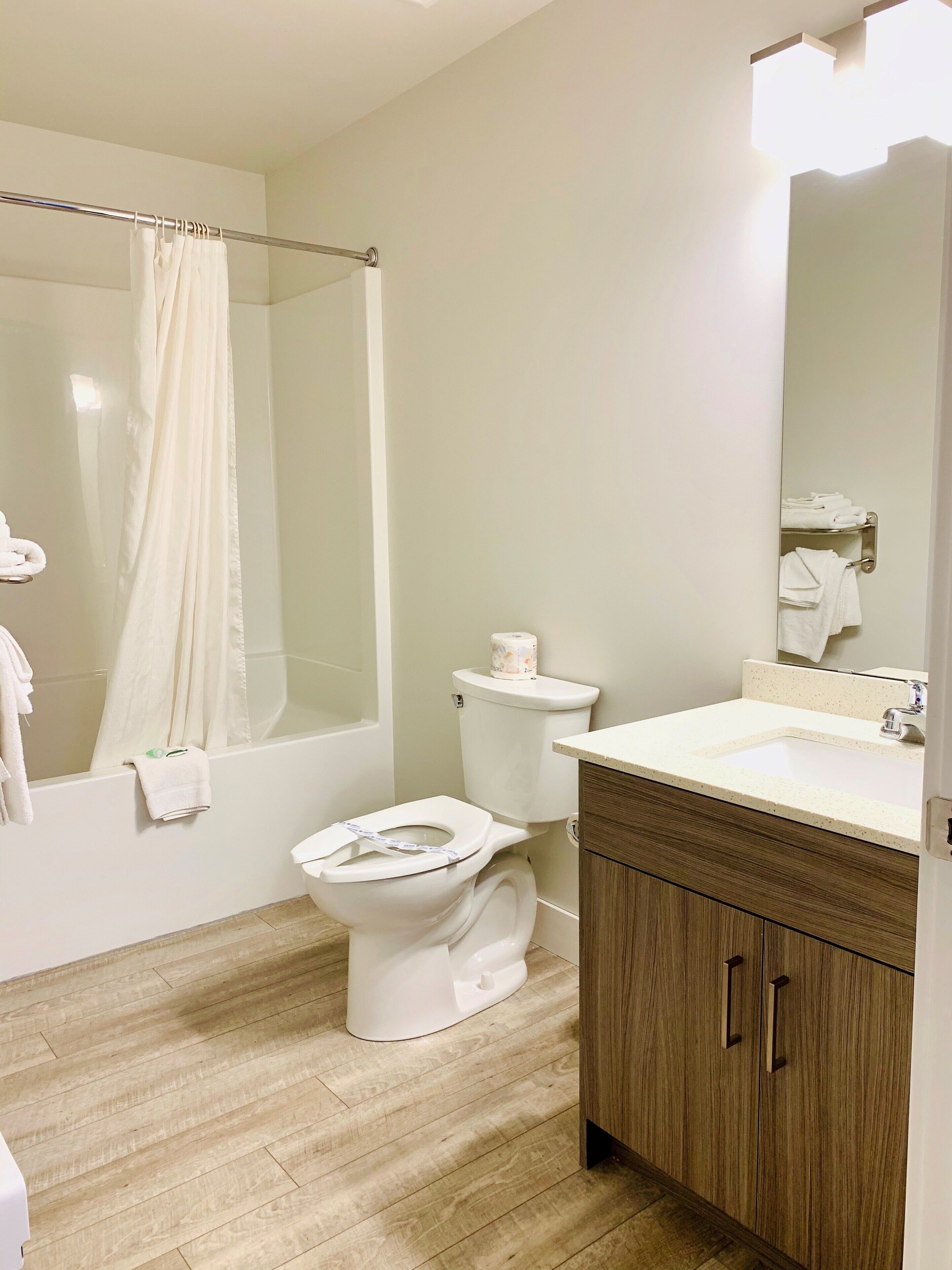 Deluxe Room | Bathroom | Separate bathtub and shower, towels