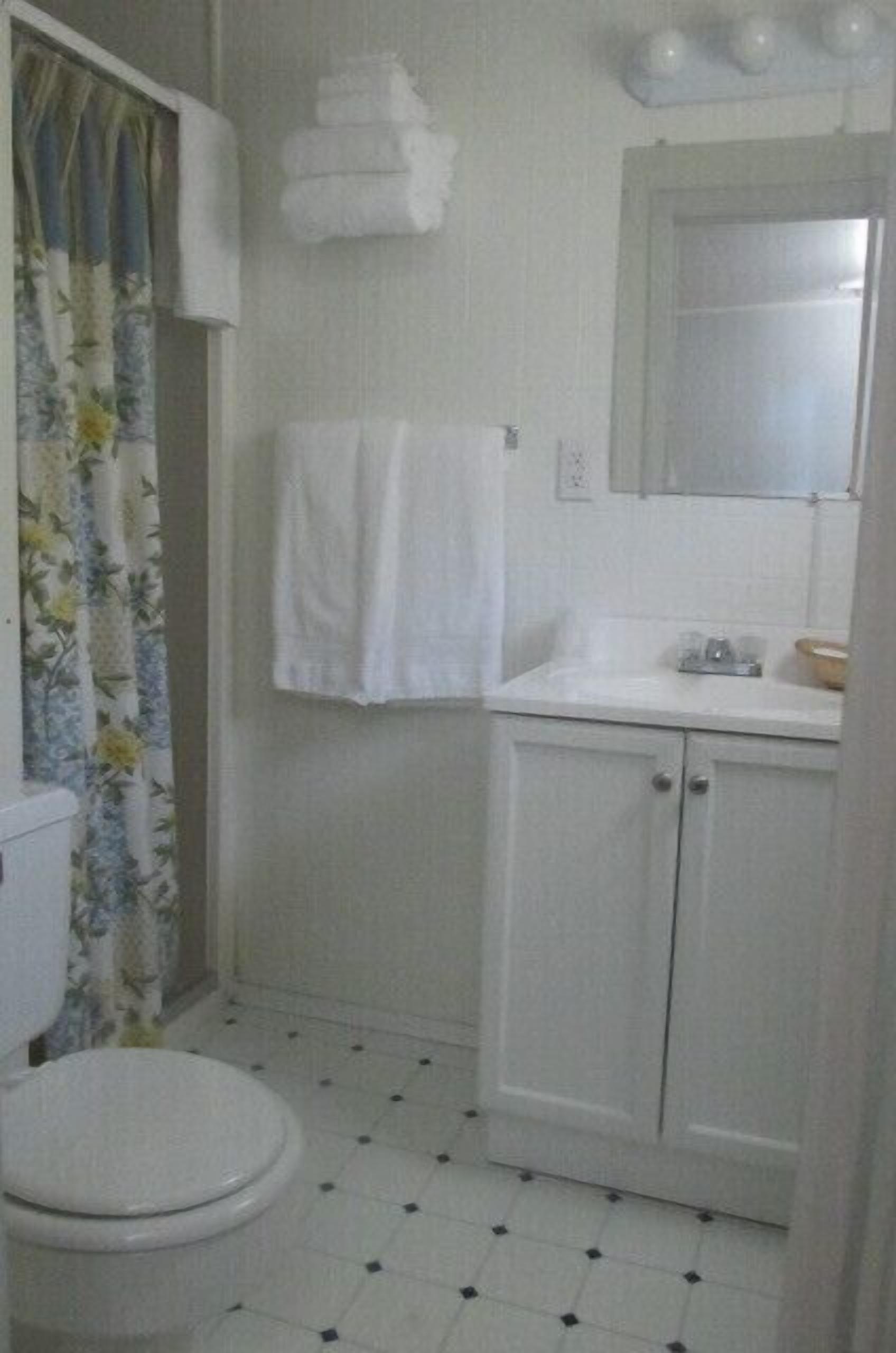 A bathroom with a toilet, a sink, a mirror, and a shower curtain.