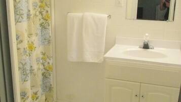 A bathroom with a toilet, a sink, and a mirror.