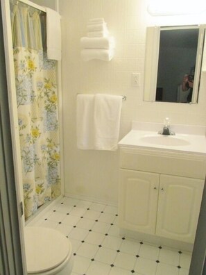 Chambre, 1 grand lit | Salle de bain | Douche, articles de toilette gratuits, sèche-cheveux