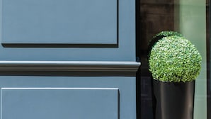 Señal del Hotel Lacourcarrée en Burdeos, con una lámpara moderna y una planta en maceta.