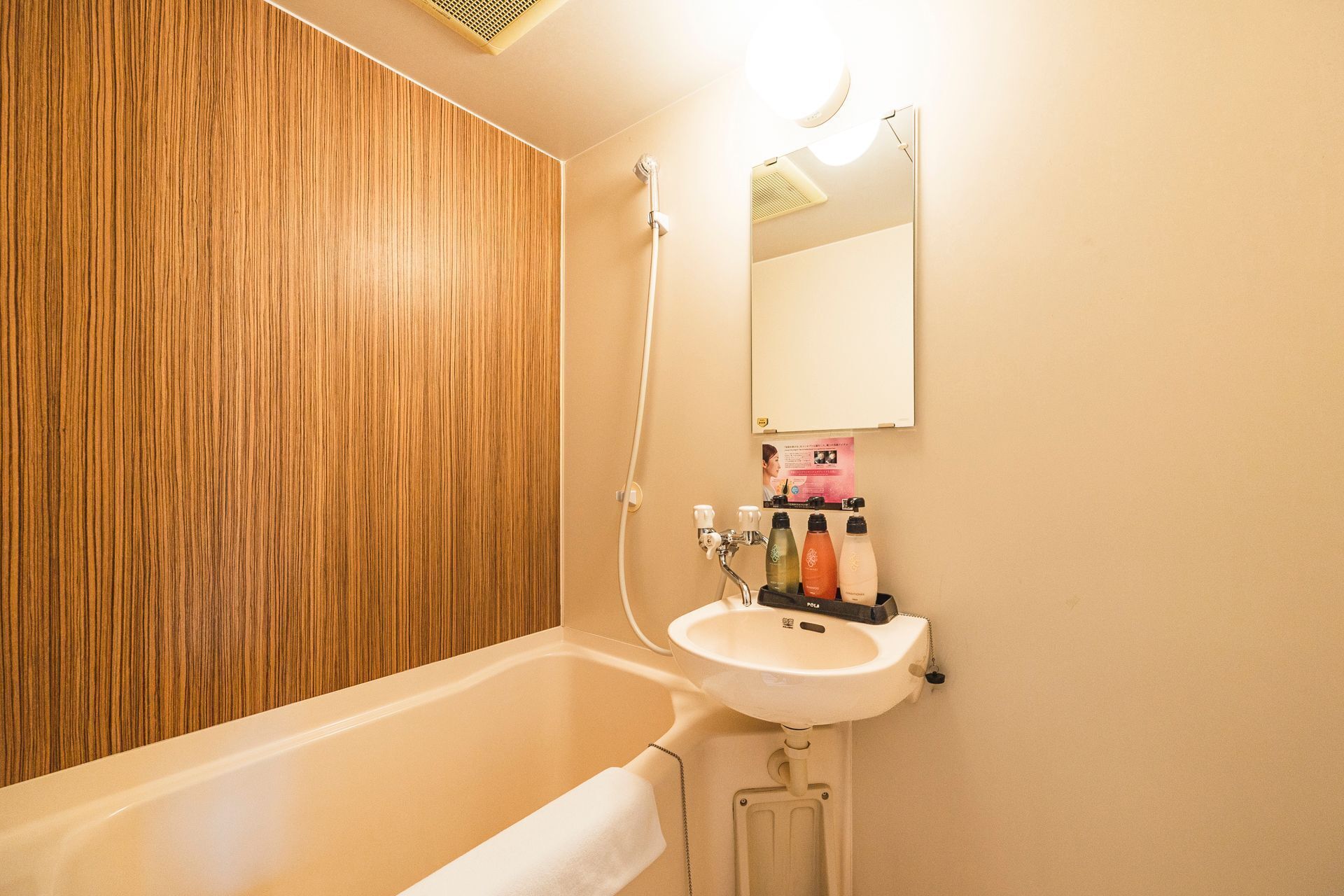 combined shower/bathtub, free toiletries, hair dryer, slippers