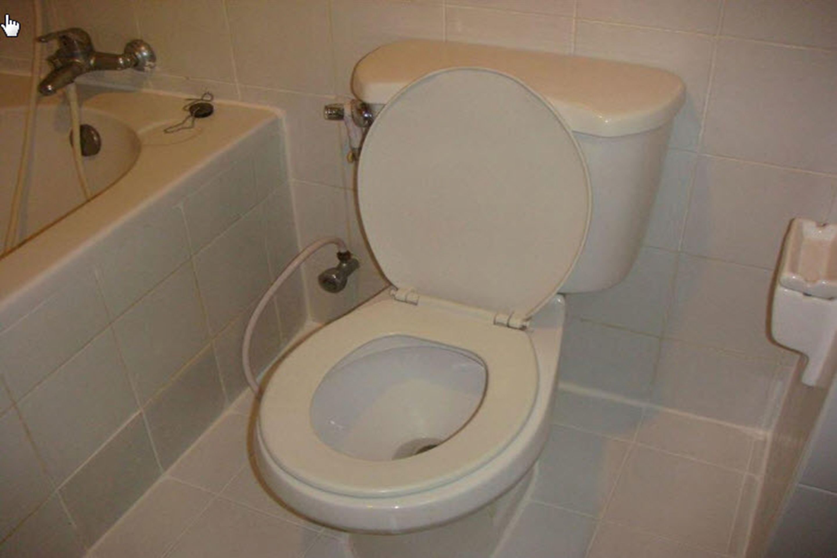 Foto - King Royal Garden Inn