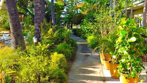 Property grounds - Koniambo (Kone)