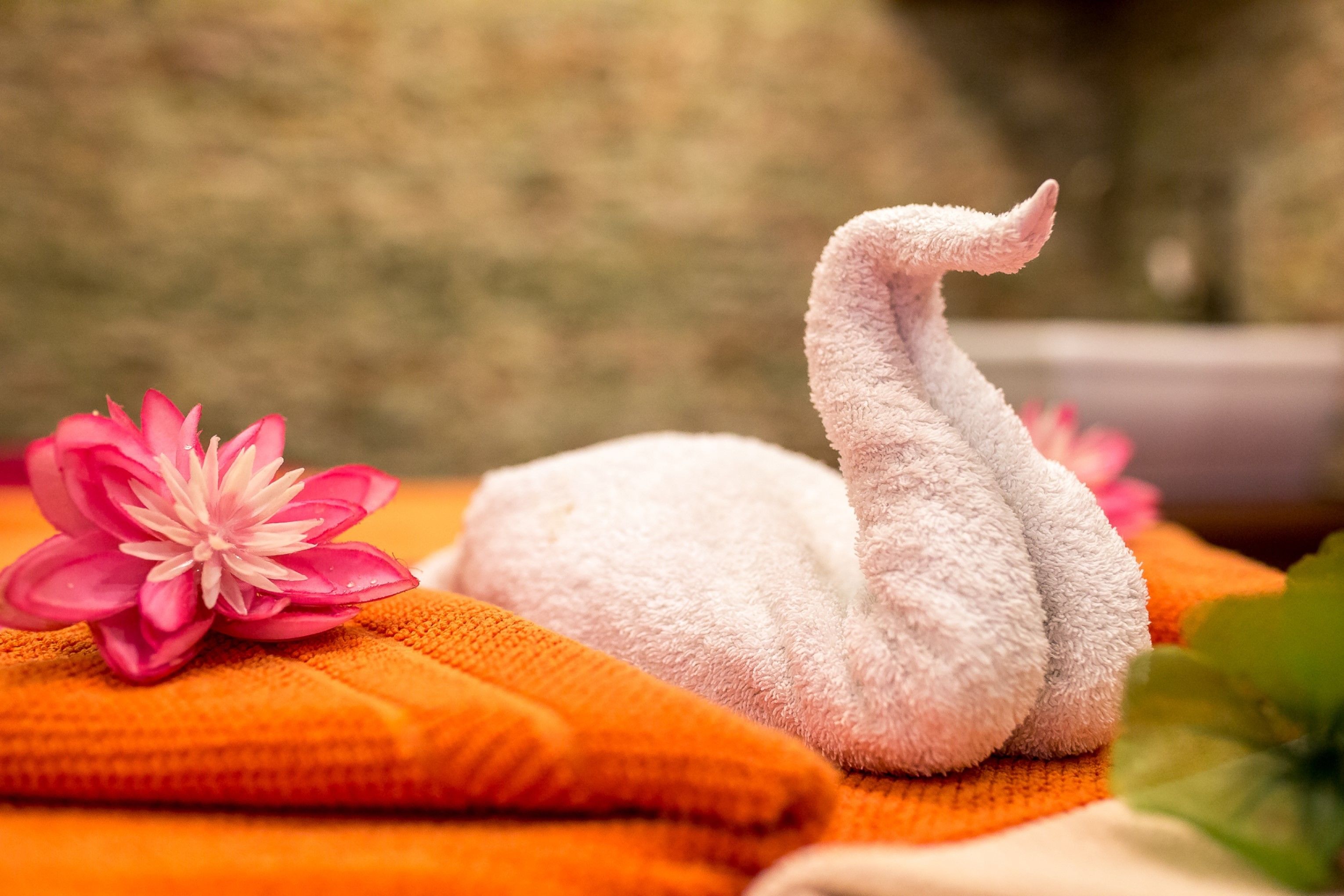 A swan-shaped towel on an orange towel, with a pink flower beside it.