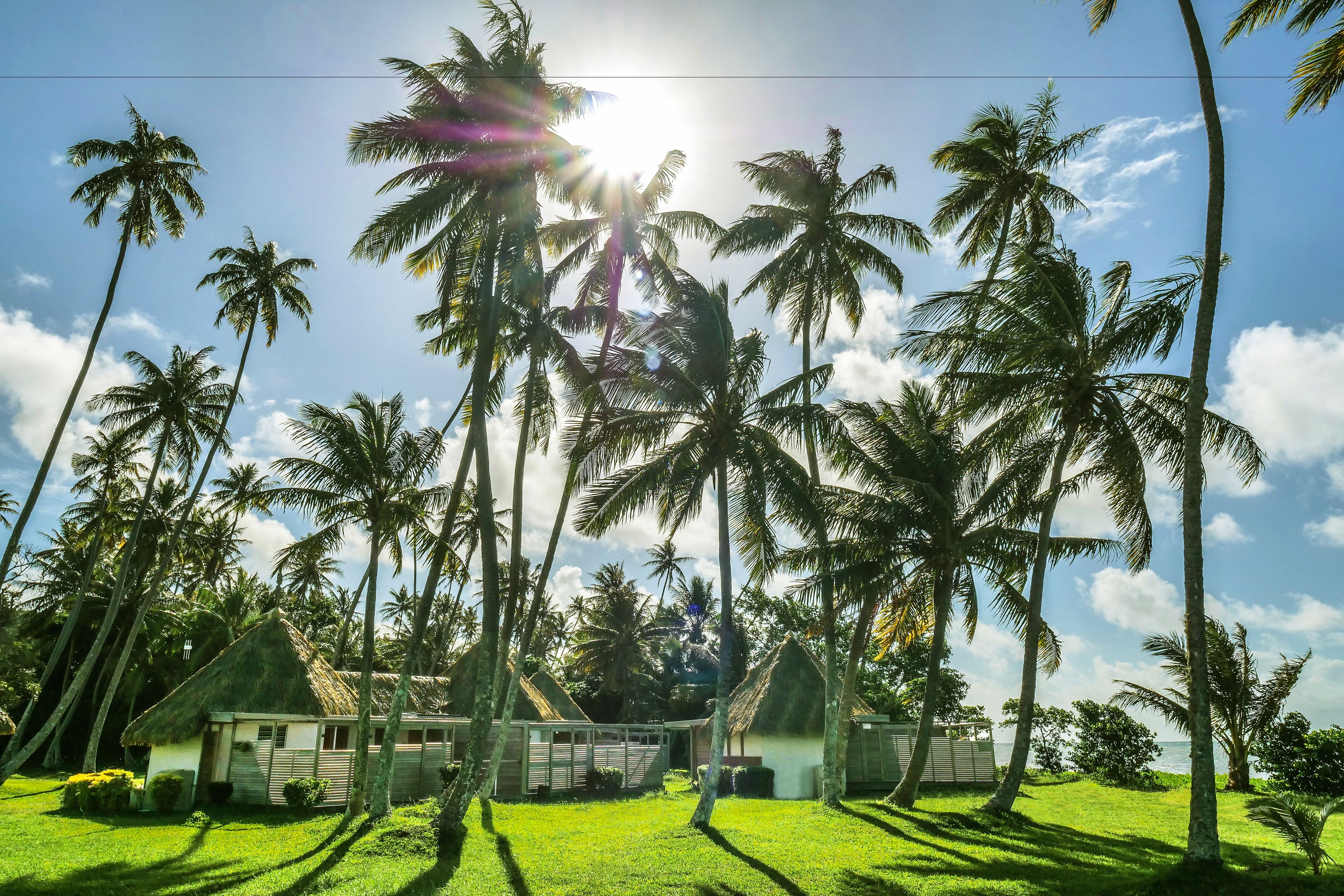 suite, pool access | premium bedding, in-room safe, desk, blackout curtains