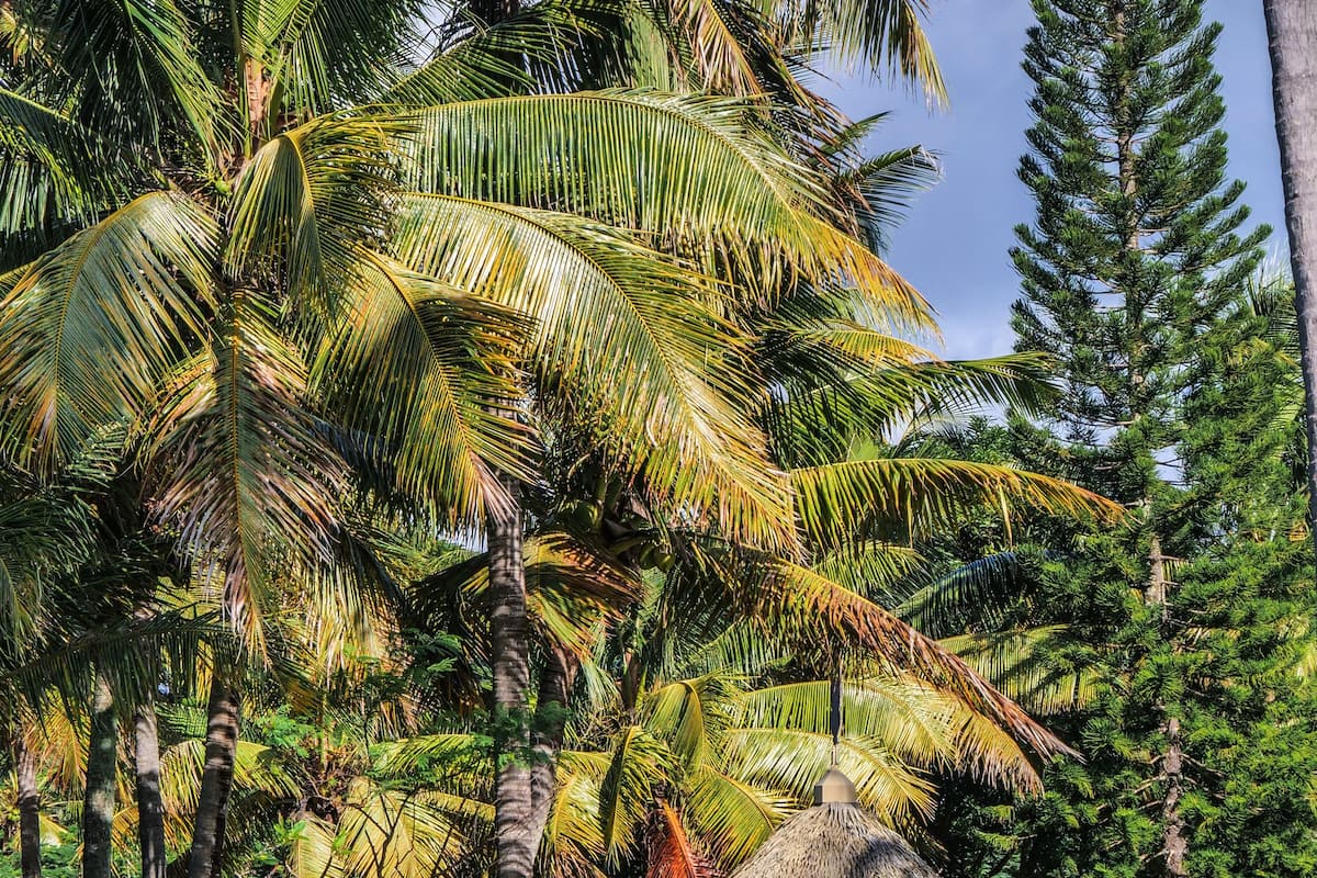 premium bungalow | premium bedding, in-room safe, desk, blackout curtains