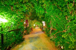 Garden - Tropicana Beach Hotel (Bodrum)