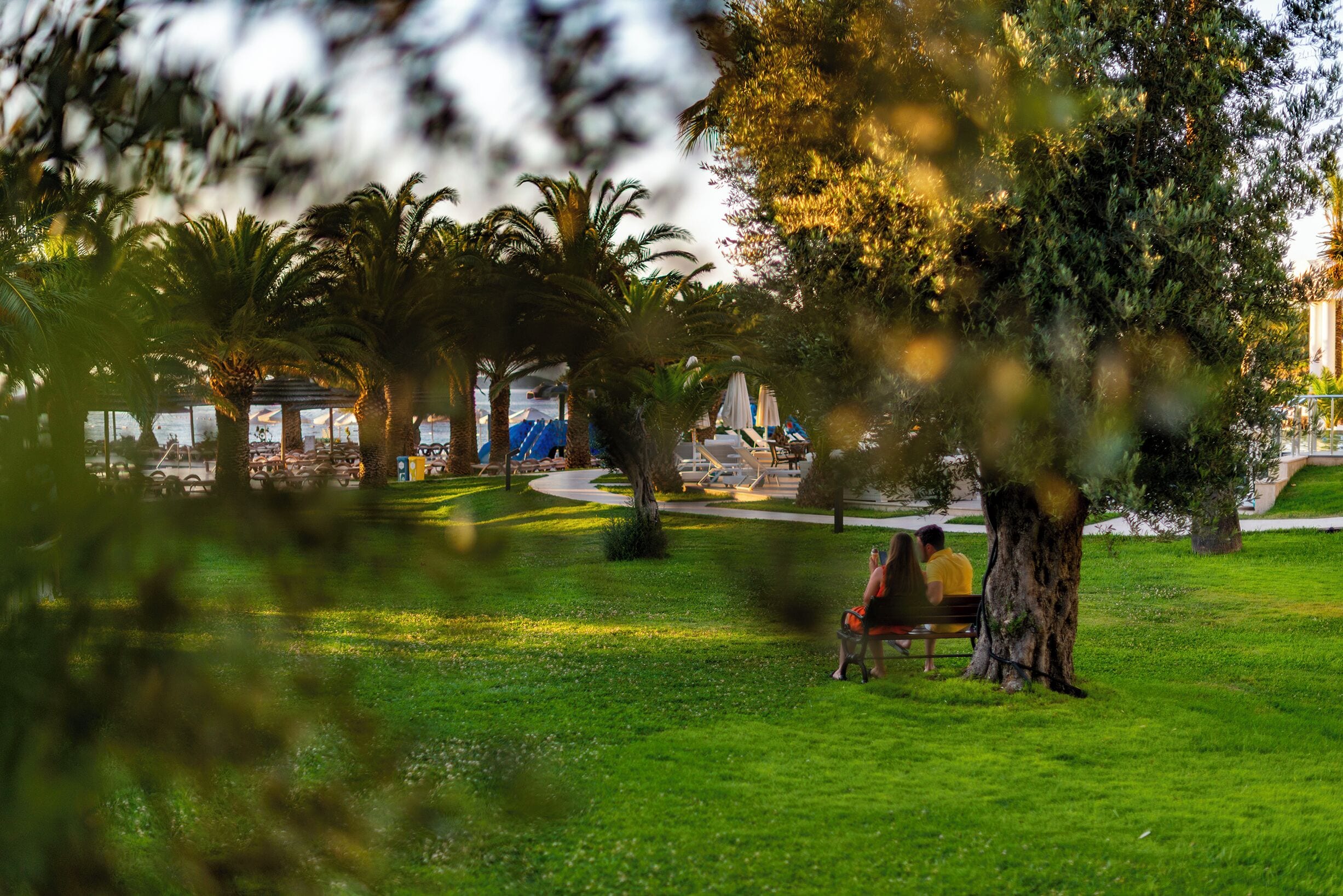 A park with a bench, palm trees, and a pathway.