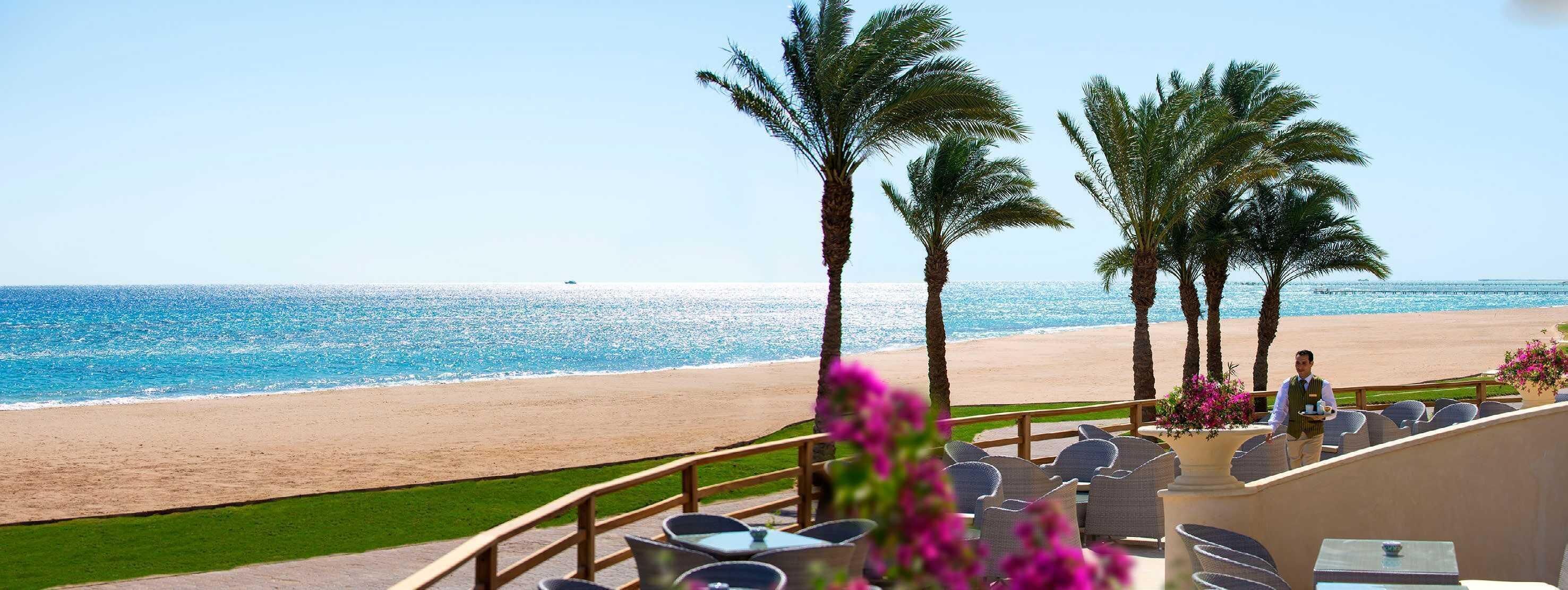 A beachside restaurant with outdoor seating overlooking the ocean, palm trees, and a clear sky.