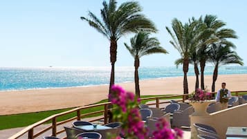 A beachside restaurant with outdoor seating overlooking the ocean, palm trees, and a clear sky.