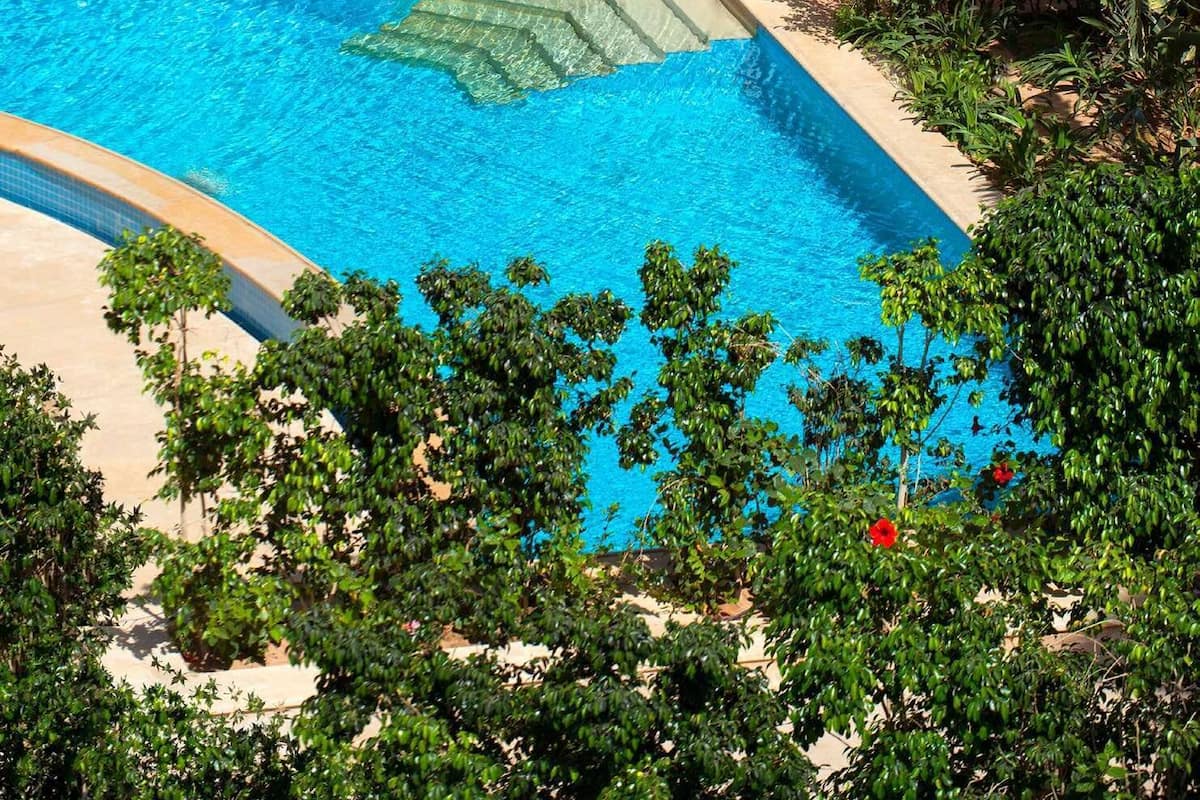 A pool area with lounge chairs and a small garden.