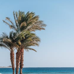 Spiaggia privata, lettini da mare, ombrelloni, massaggi sulla spiaggia