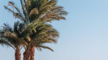 Playa privada, camastros, sombrillas y masajes en la playa