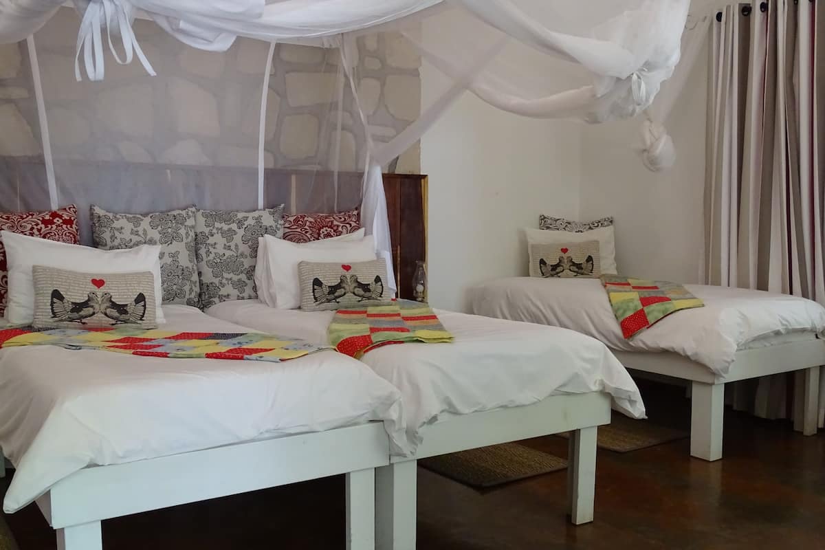 A bedroom with two beds, a canopy, and patterned pillows.