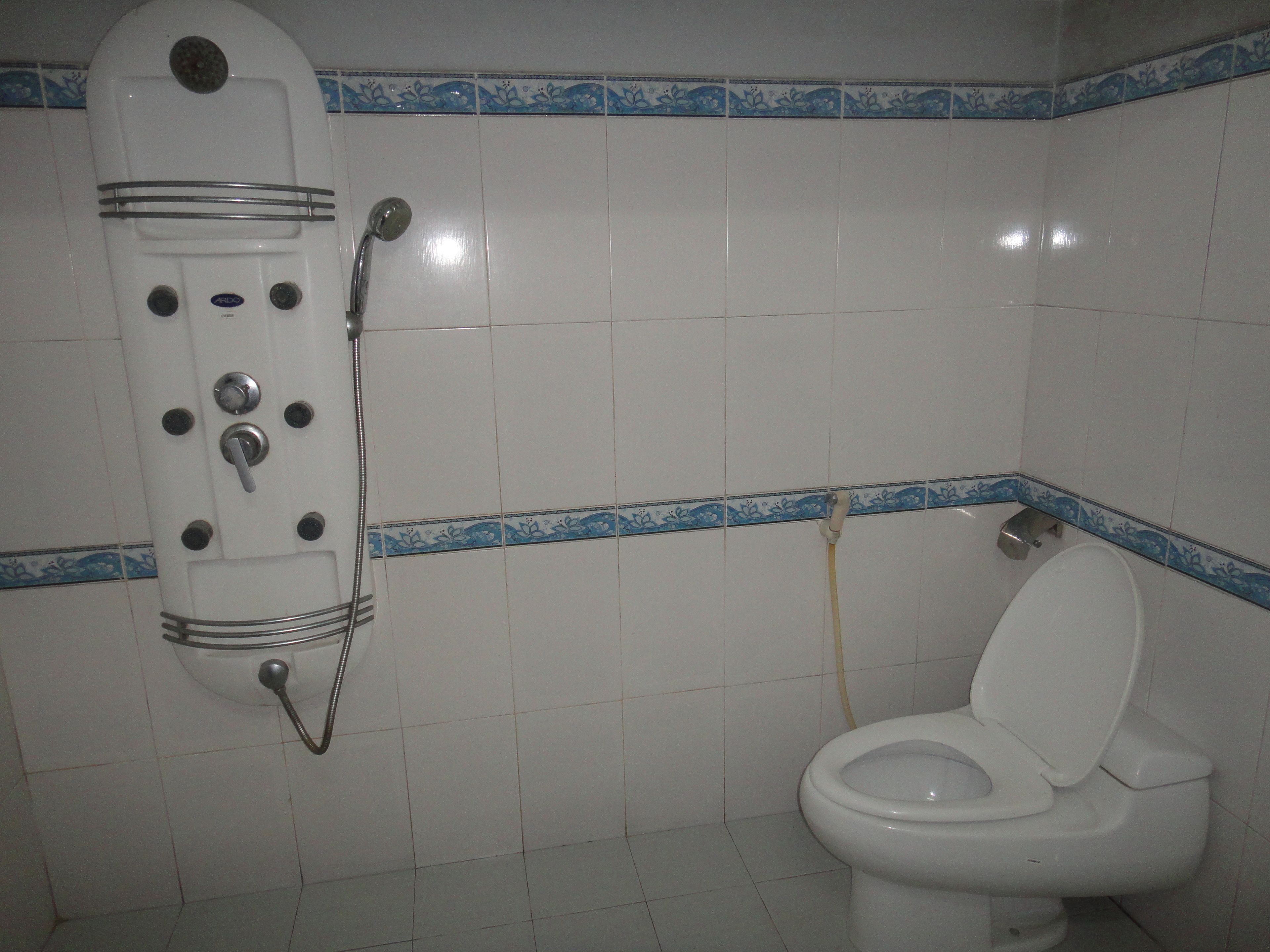 A bathroom with a shower, toilet, and tiled walls.