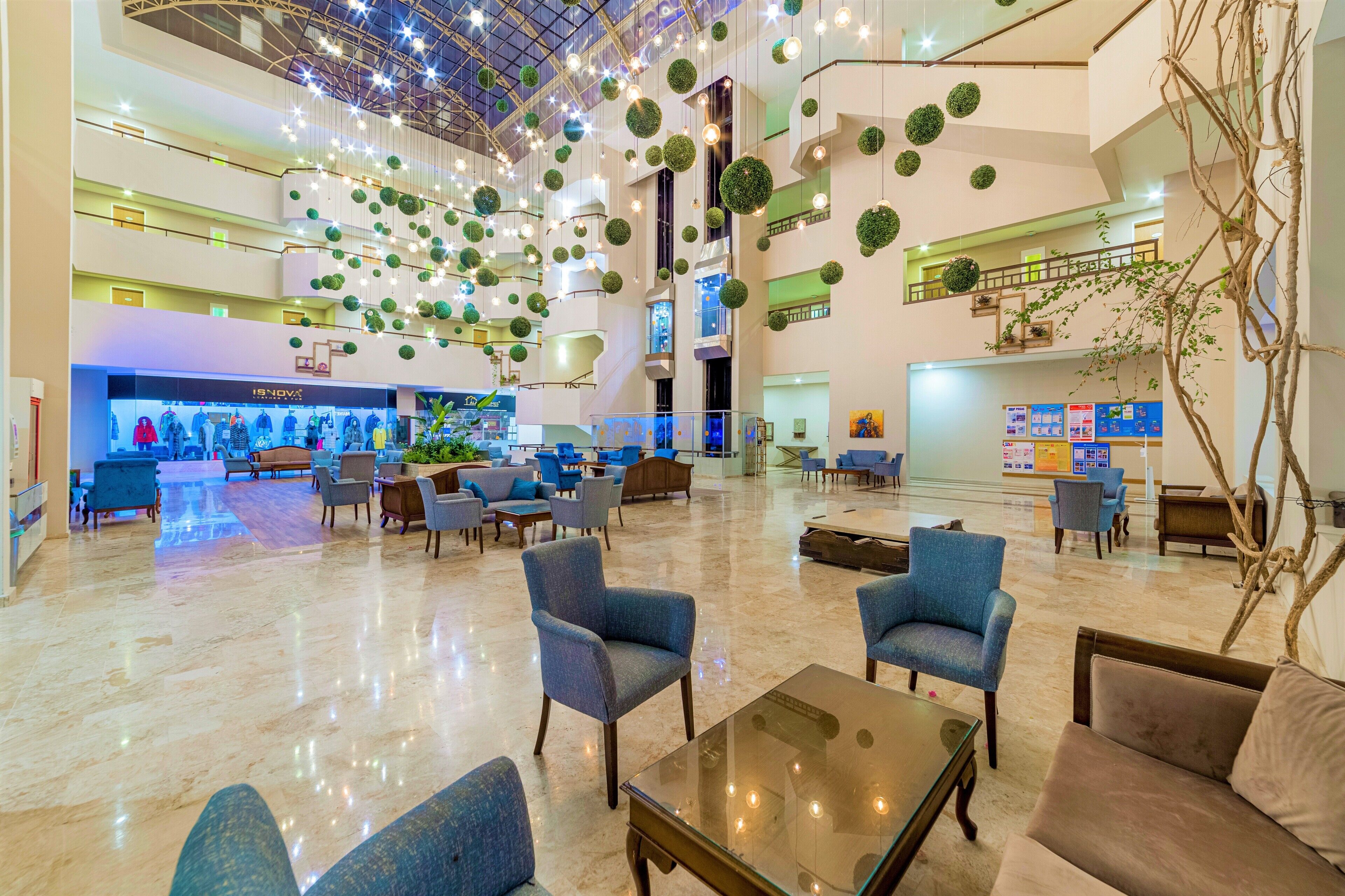 منطقة الاستقبال