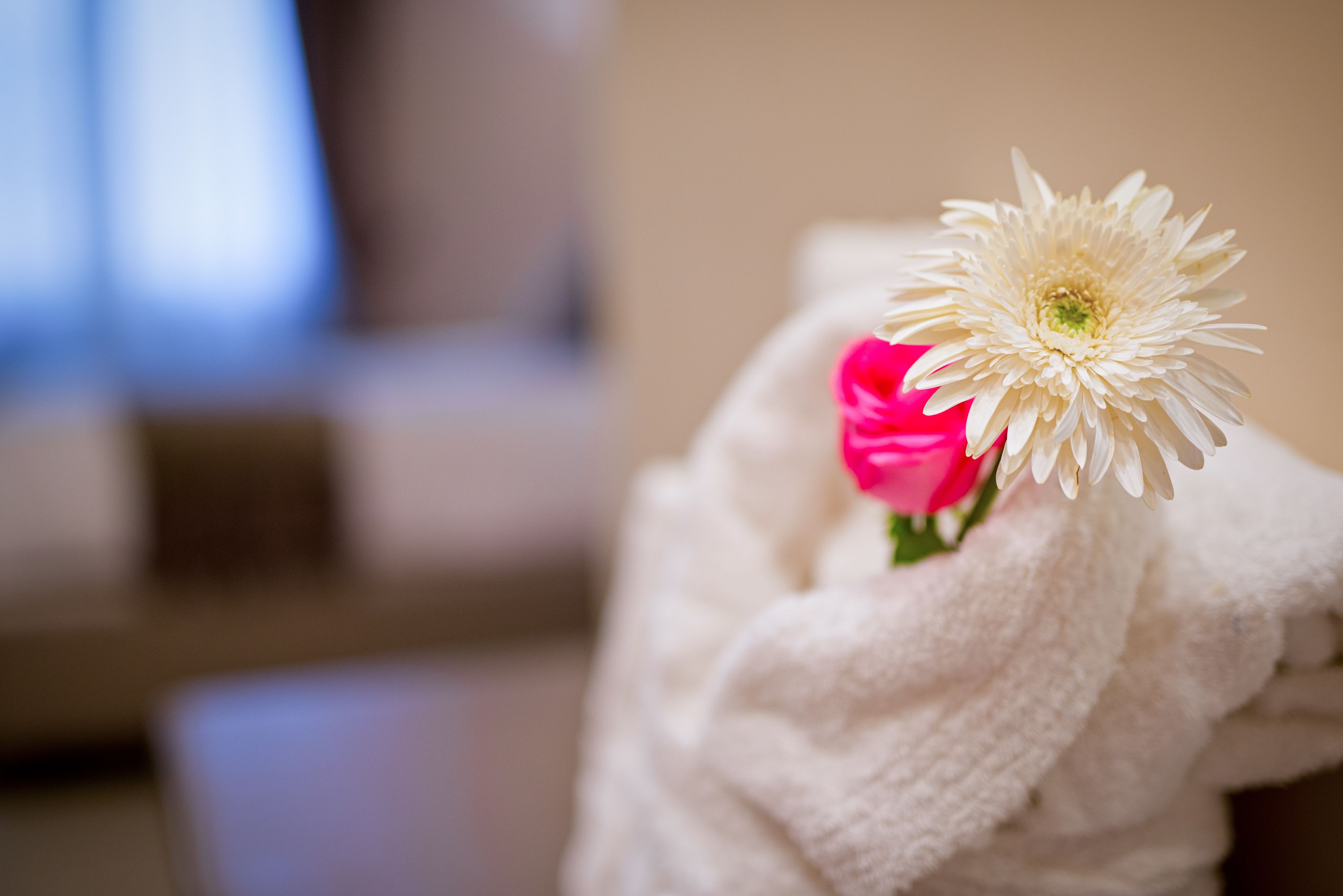 Ein weißes Handtuch mit einer weißen und einer rosa Blume.