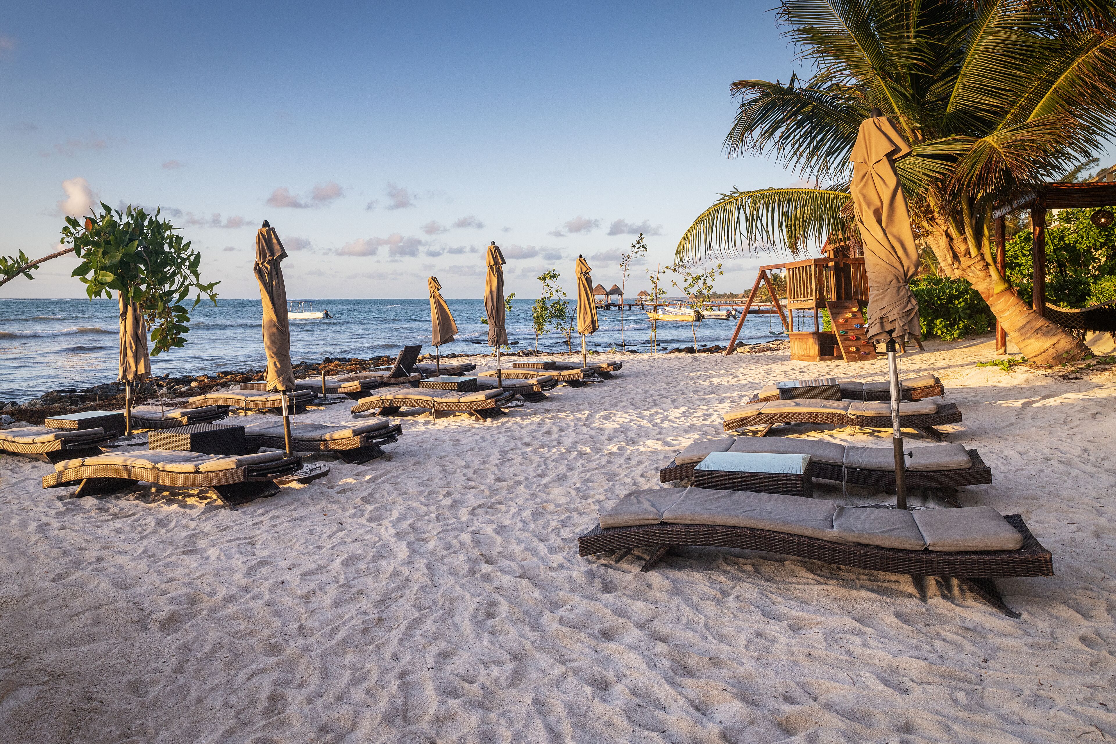 A beach with sun loungers and umbrellas, a wooden deck, and a palm tree.