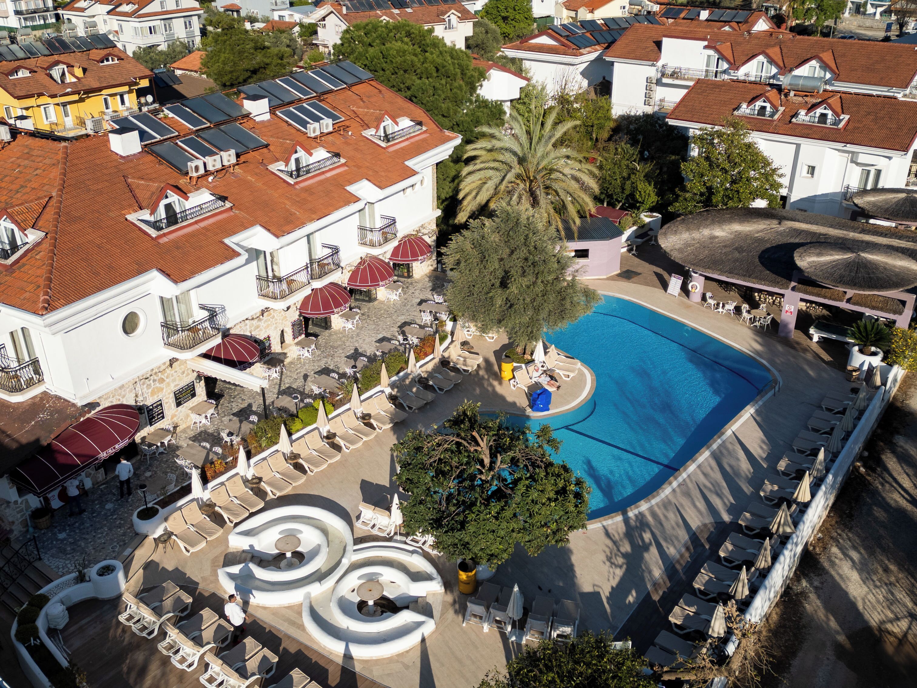 Luchtbeeld van een resort met een zwembad, ligbedden en een palmboom.