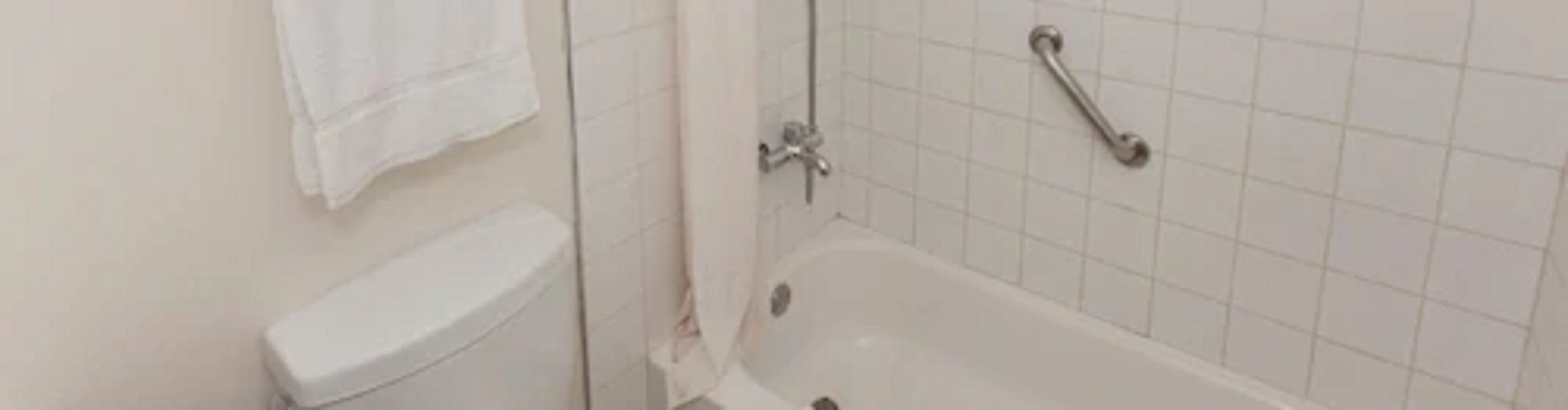 A bathroom with a toilet, a bathtub, and a shower.