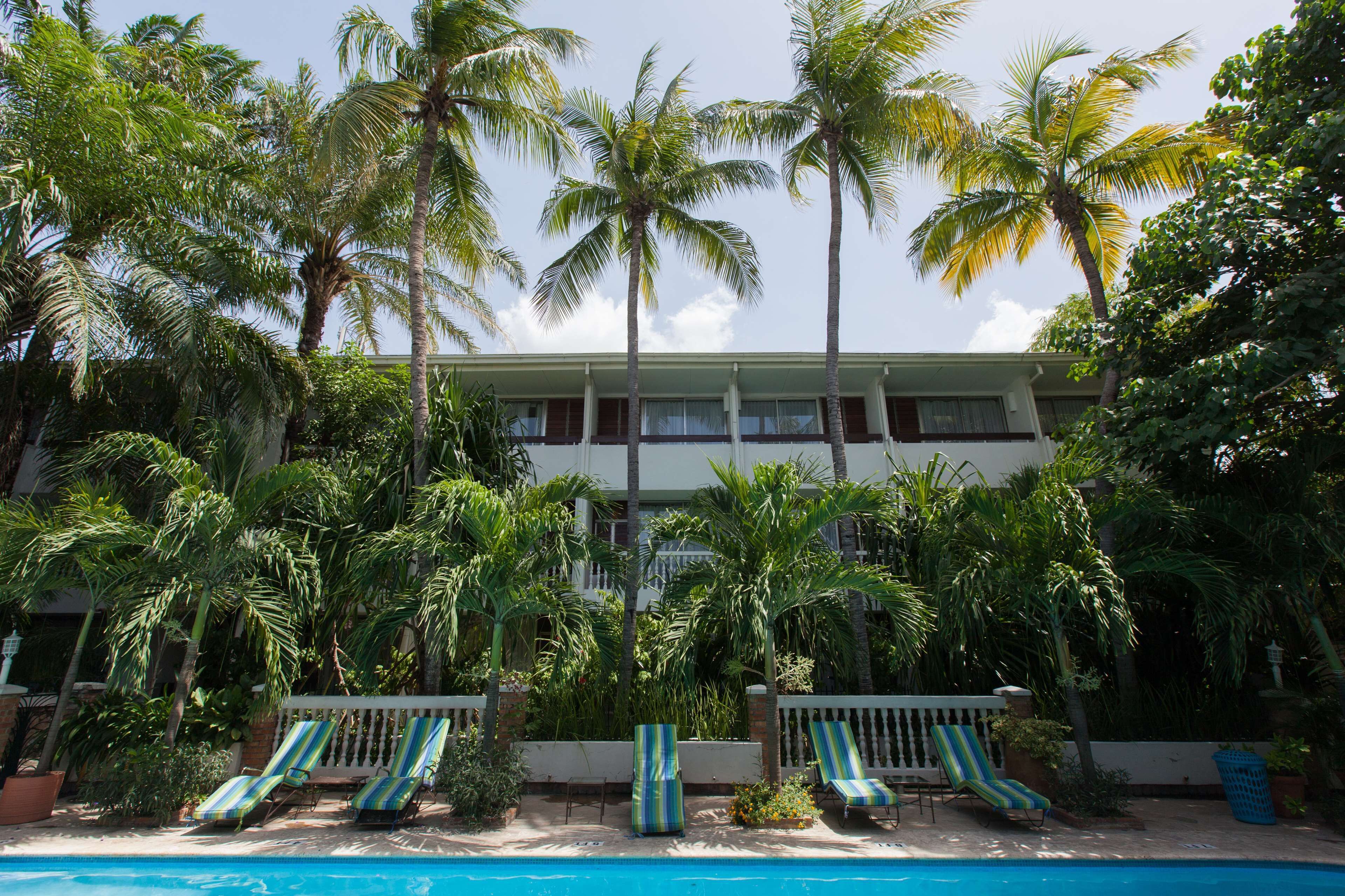 A hotel with a pool, palm trees, and lounge chairs.