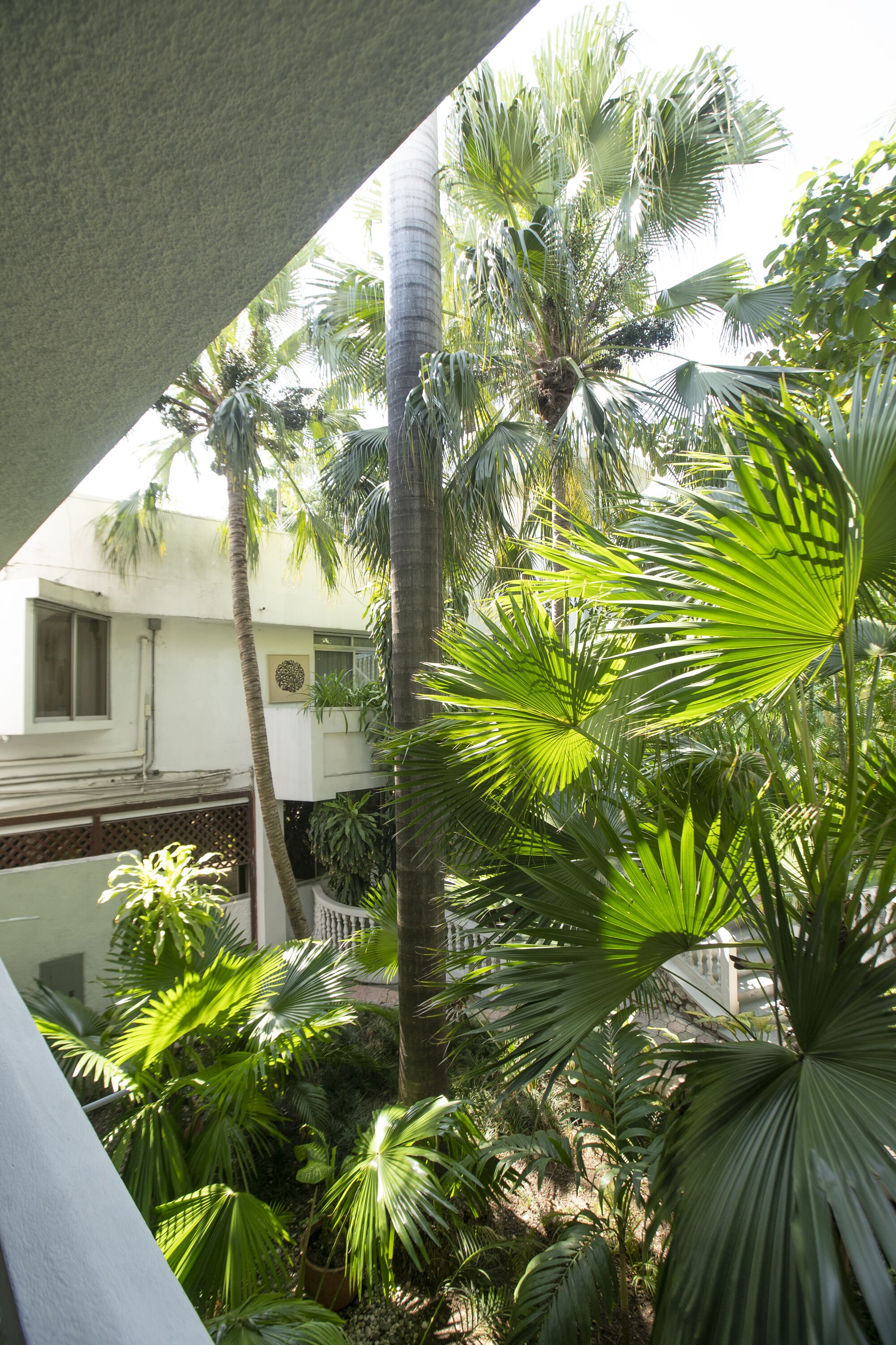 A lush garden with various palm trees and tropical plants, a white building with a balcony, and a concrete structure overhead.