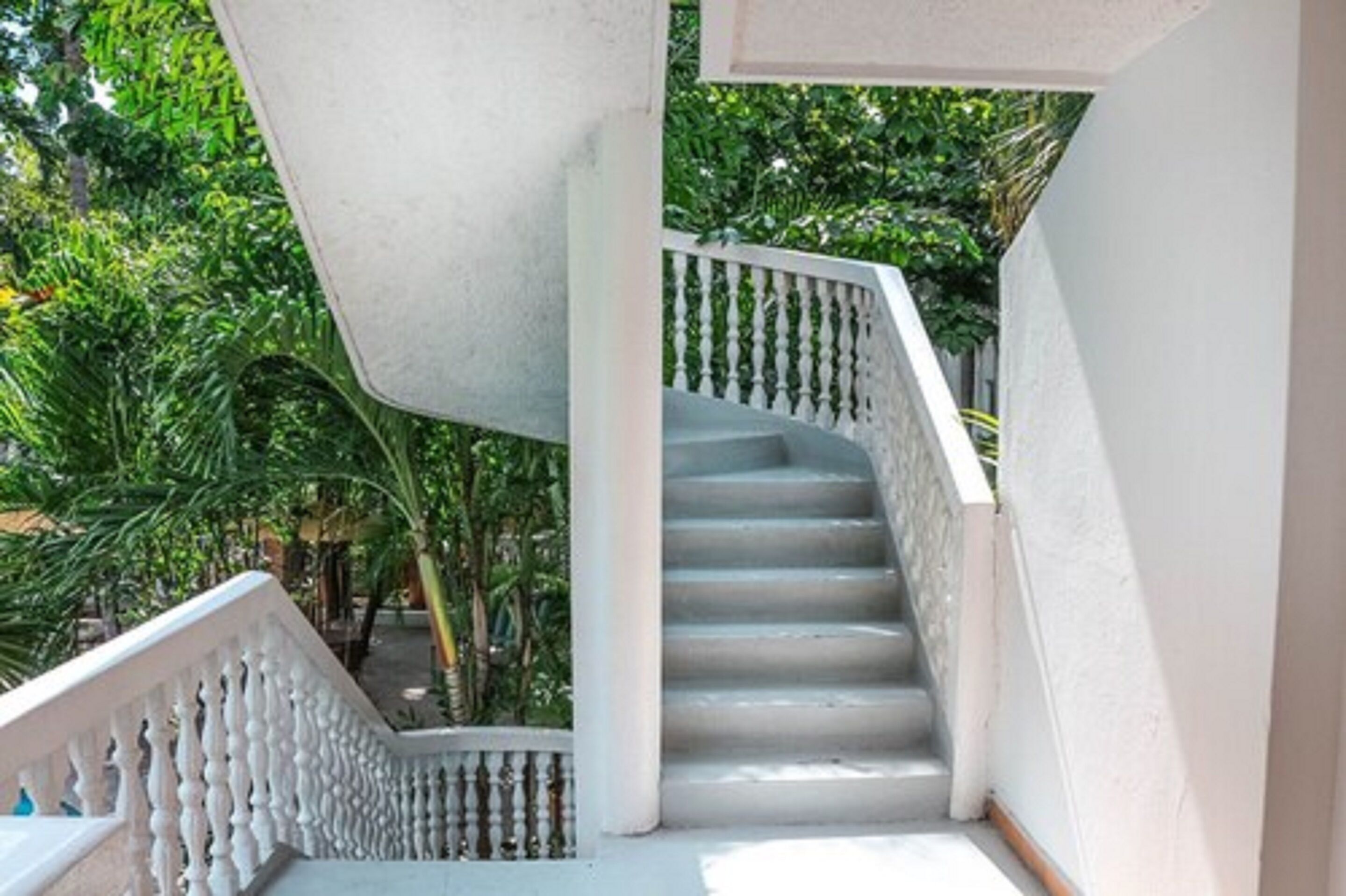 Un escalier en colimaçon avec des rampes blanches, entouré d’une végétation luxuriante.