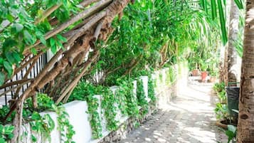 Jardin