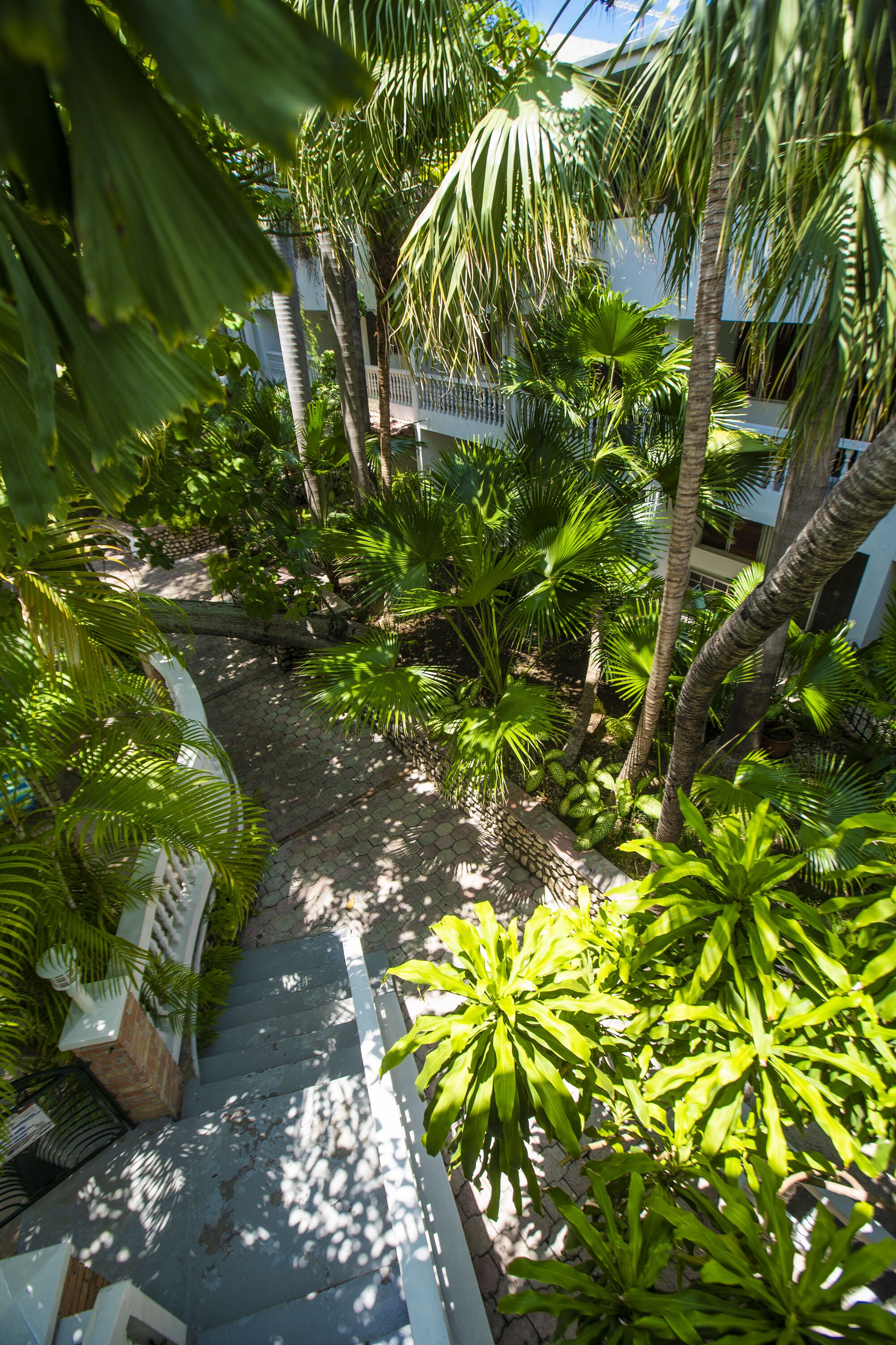 Photo - Le Plaza Hotel