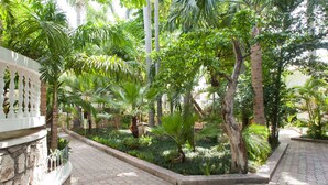 Un jardin avec différents arbres et plantes, un chemin pavé et un bâtiment blanc doté d’un balcon.