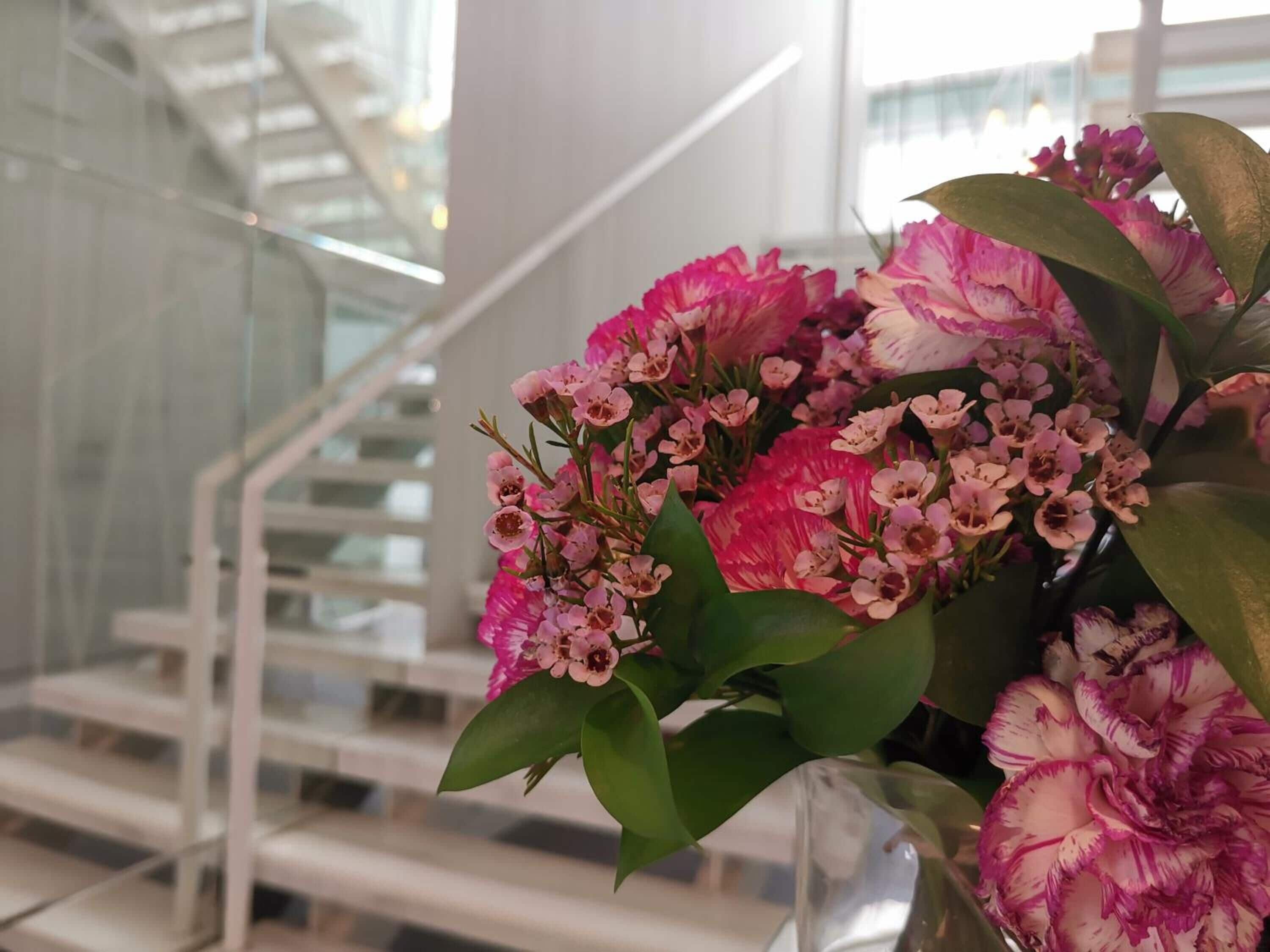 Foto - Hotel Boutique Caireles