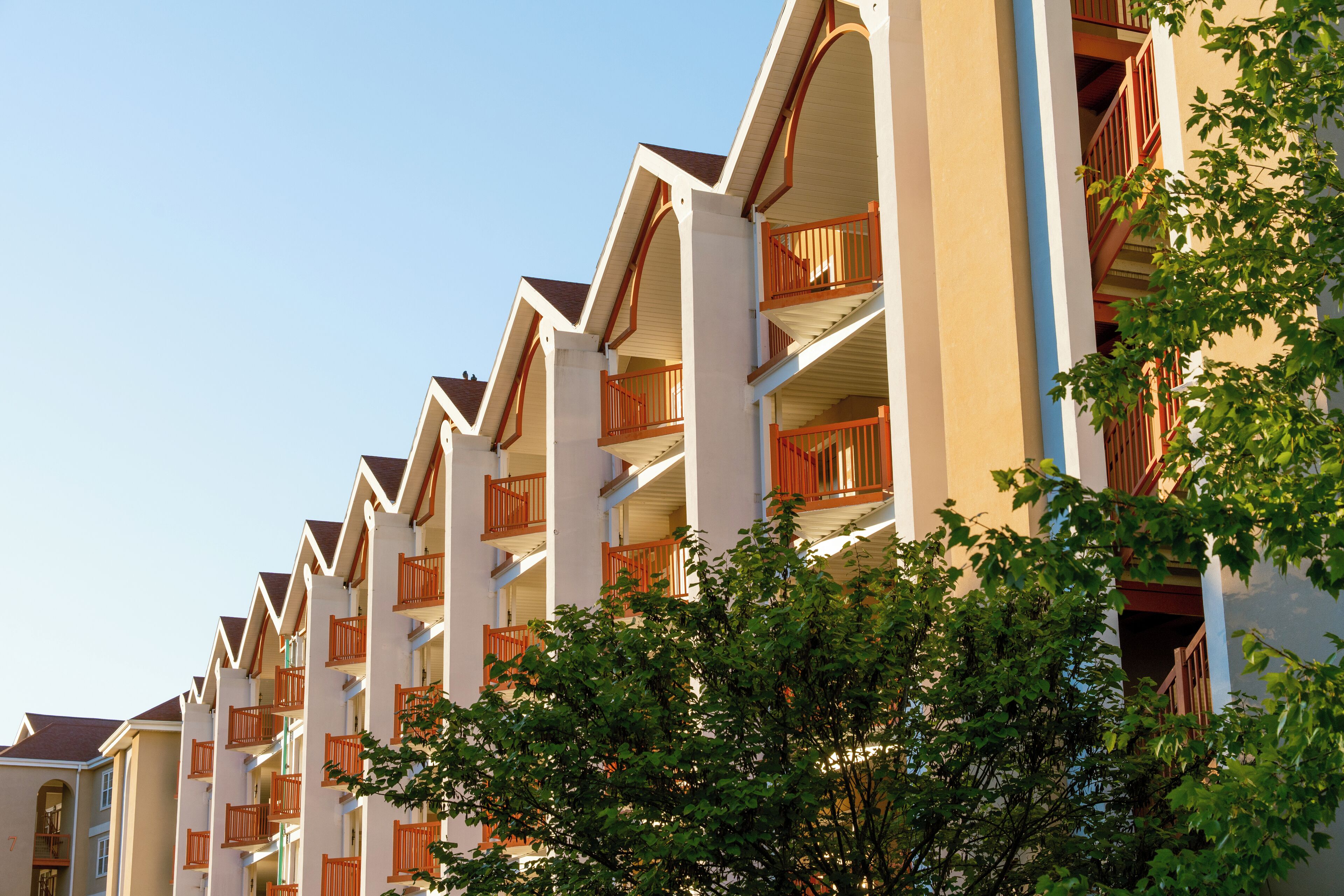 A row of multi-story hotel buildings with balconies and a tree in the foreground.