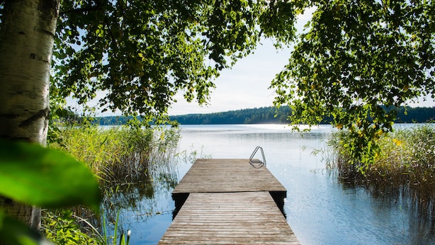 A wooden dock extending into a calm lake, surrounded by lush greenery and trees. - Koivulan Kartano (Lohja)
