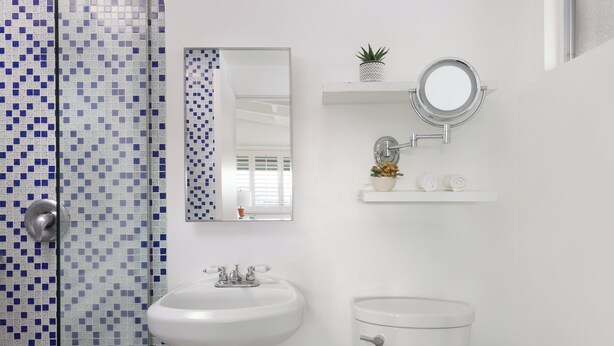 A bathroom with a tiled shower, a sink, a toilet, a mirror, and a small shelf with a plant and a decorative item. - Del Marcos Hotel (Palm Springs)