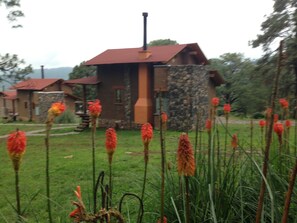 Property grounds - Cabañas Monterra Tapalpa (Tapalpa)