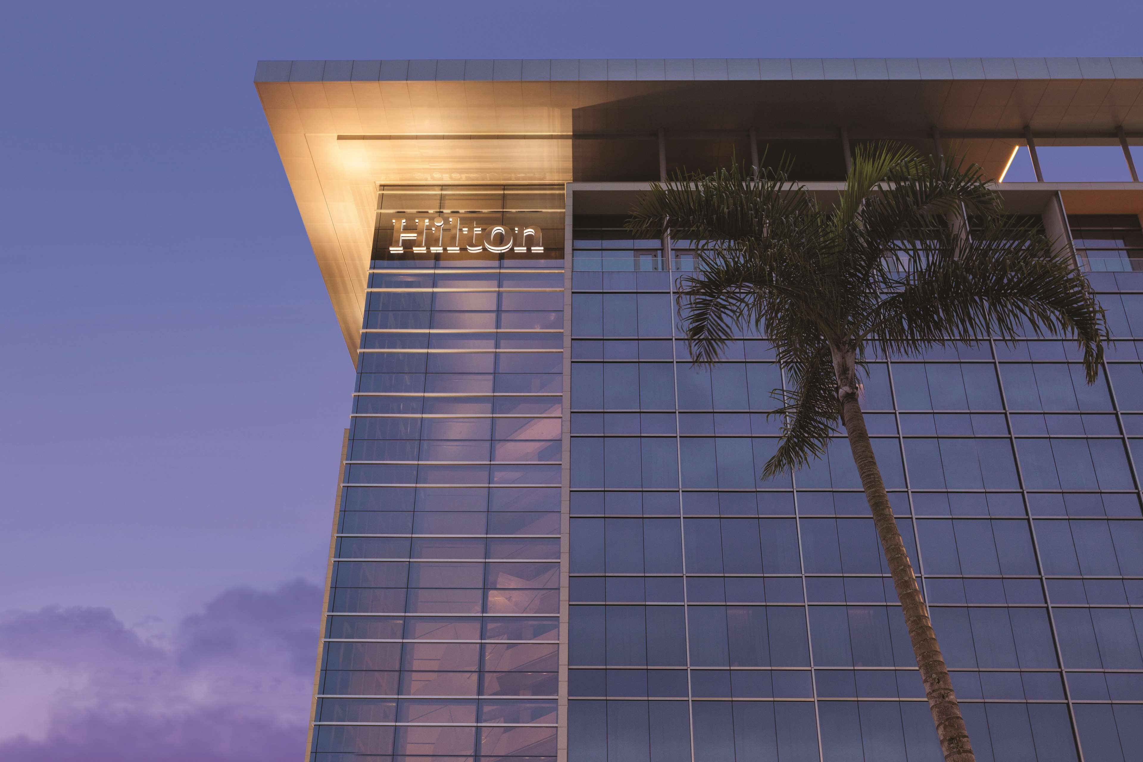 Un moderno edificio de hotel con un llamativo letrero de 'Hilton', grandes ventanales de vidrio y una palmera frente a él.
