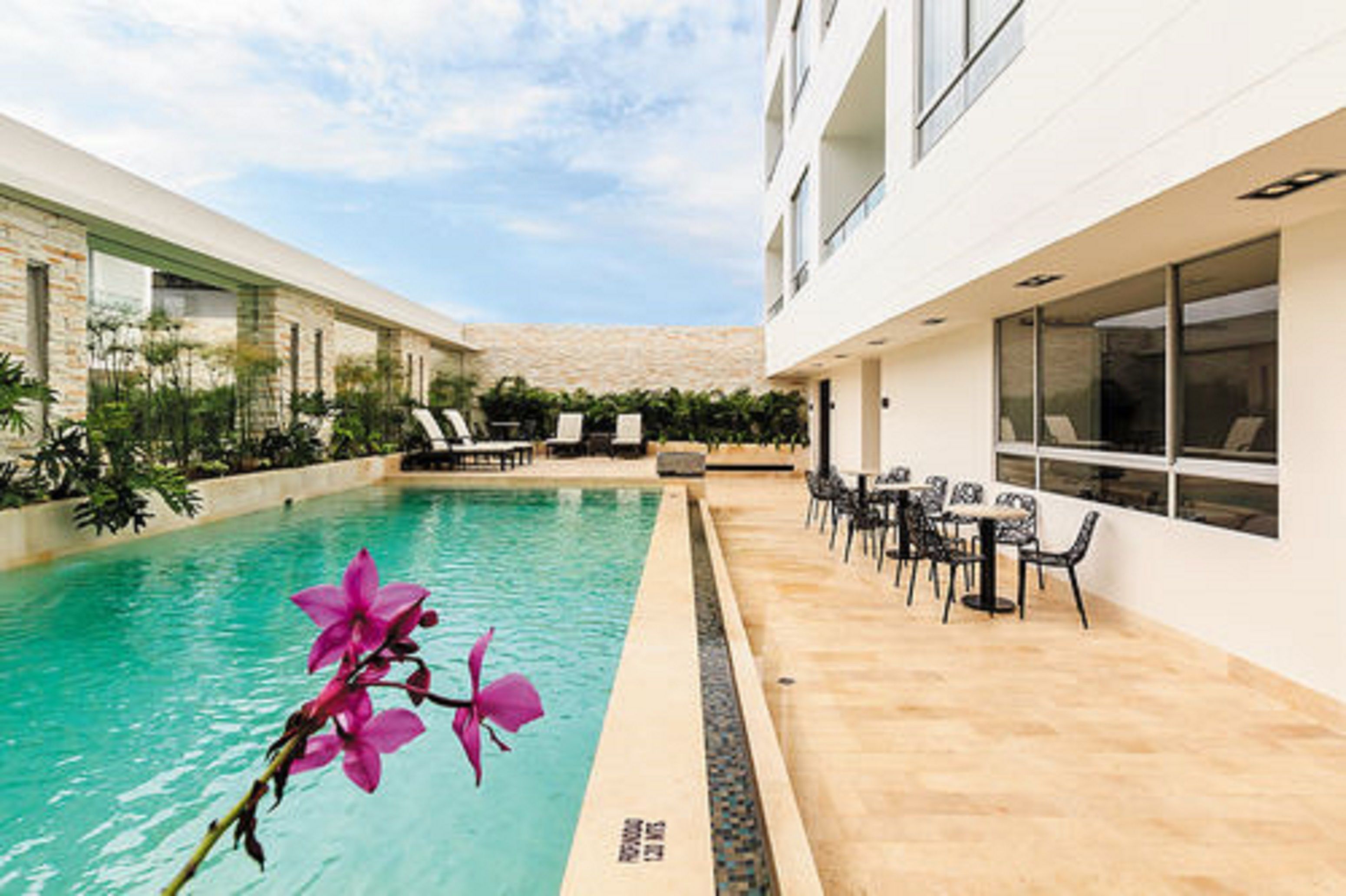 outdoor pool, pool loungers