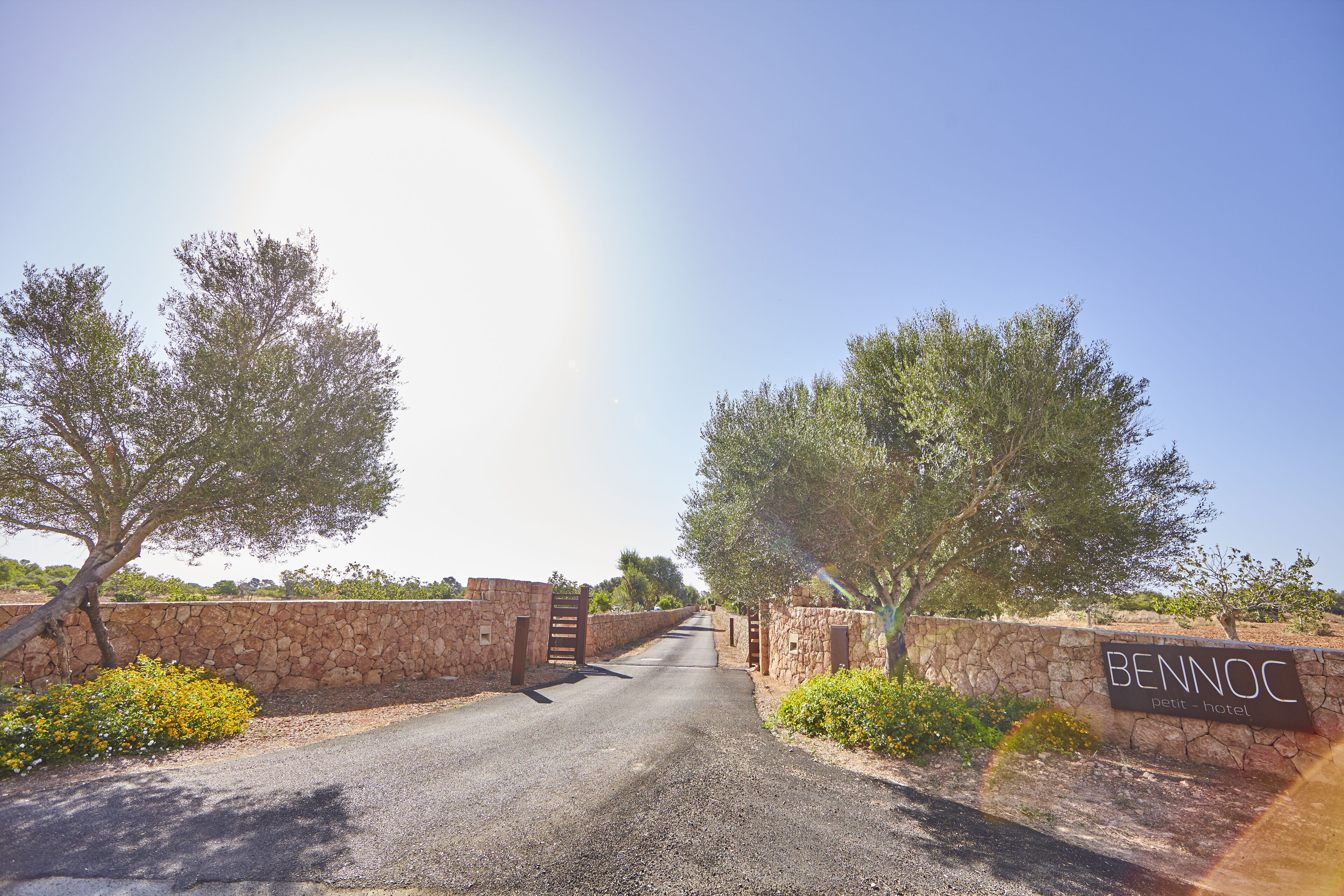 Foto - Bennoc Petit Hotel