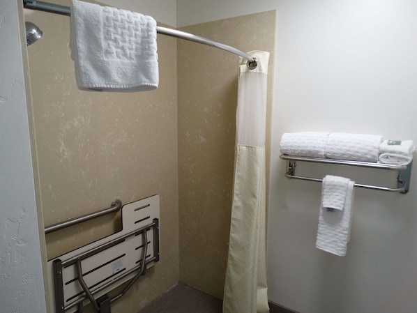 Combined shower/bathtub, hair dryer, towels