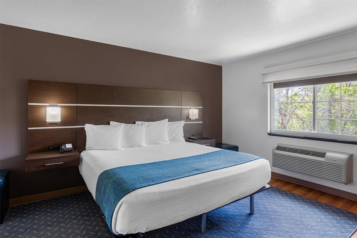 Standard Room, 1 King Bed, Accessible, Kitchen (Full Kitchen) | Desk, laptop workspace, soundproofing, iron/ironing board
