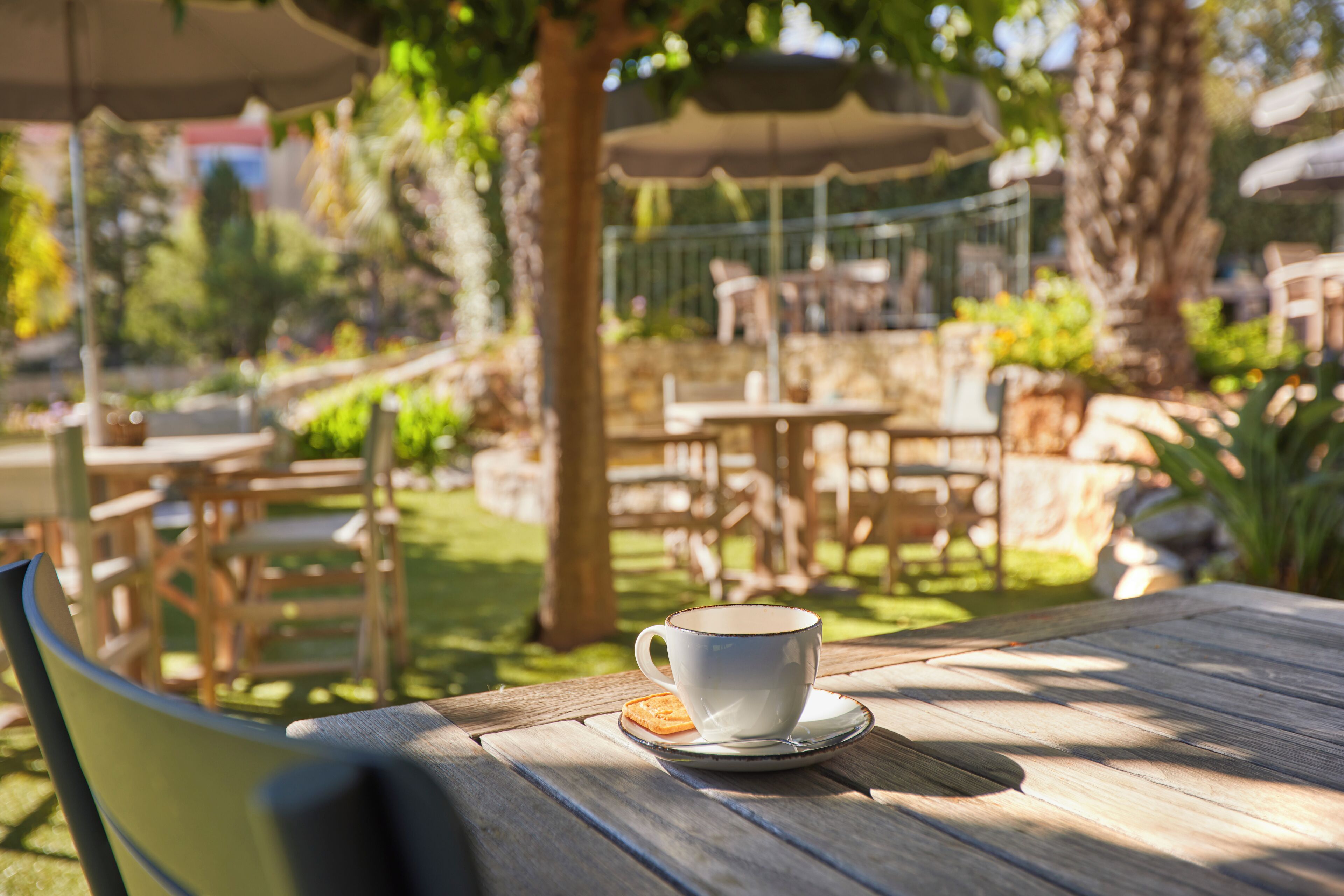A wooden table with a cup and saucer, surrounded by chairs and greenery.