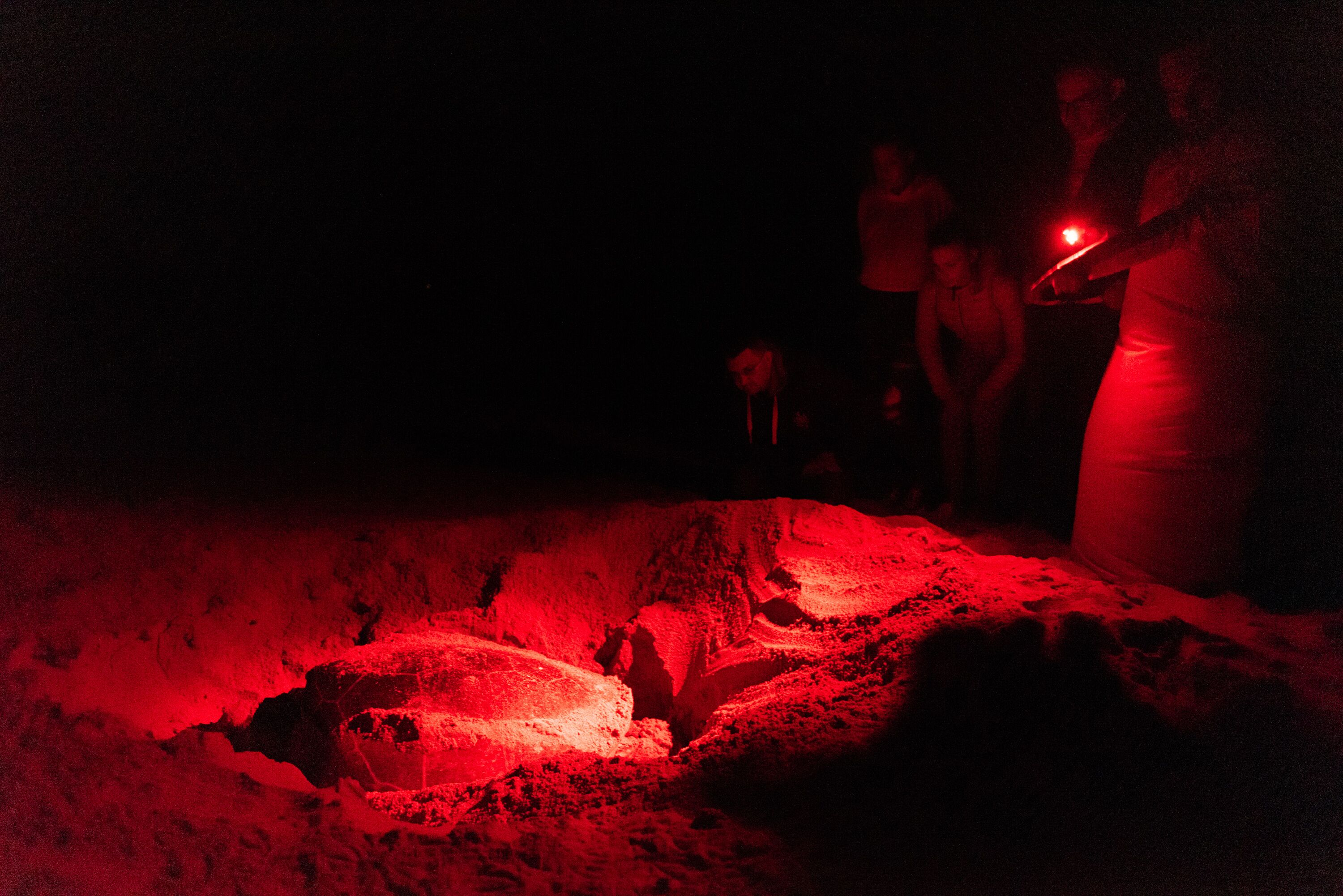 Una zona arenosa con una fuente de luz roja.